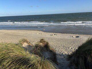 Vakantiehuis Kamperland Omgeving 31