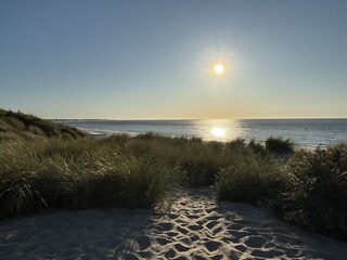 Vakantiehuis Kamperland Omgeving 33