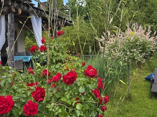 Blick vom Garten auf die Wohnung mit Terrasse