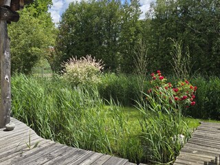 Blick von Terrasse in den Garten