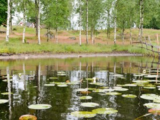 Ferienhaus Landeryd  11