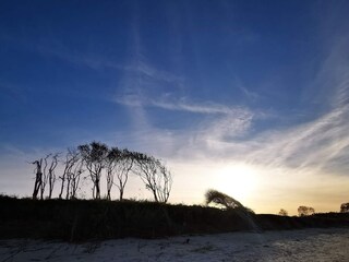 Ferienhaus Købingsmark  19