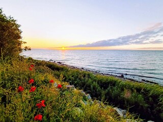 Ferienhaus Købingsmark  31