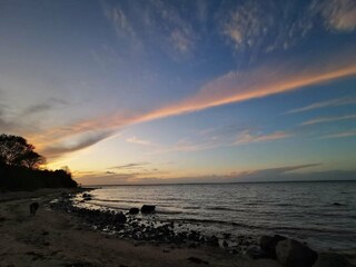 Ferienhaus Købingsmark  38