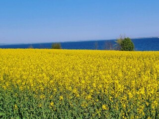 Ferienhaus Sydals  26