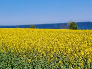 Maison de vacances Sydals  7