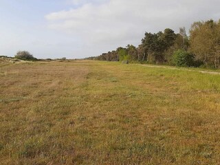 Maison de vacances Marielyst  10