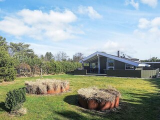 Ferienhaus Hou Außenaufnahme 10