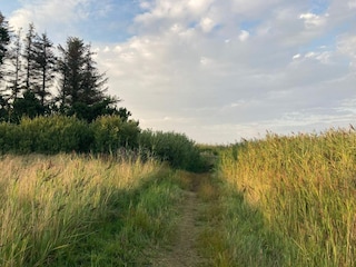 Holiday house Hou  34