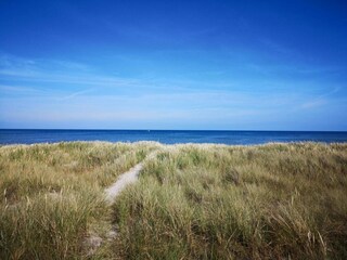 Vakantiehuis Hou  41