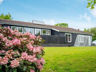 Vakantiehuis Humlum Buitenaudio-opname 7