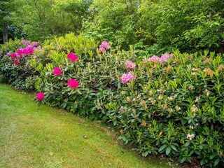 Maison de vacances Humlum  46