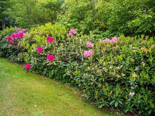 Maison de vacances Humlum  53