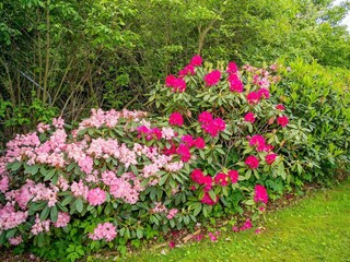 Ferienhaus Humlum  54