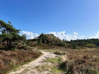 Vakantiehuis Toftum  10