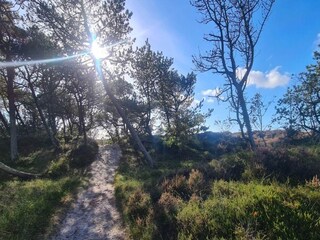 Casa de vacaciones Toftum  18