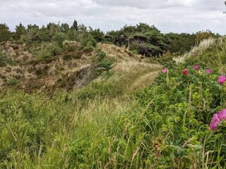 Vakantiehuis Toftum  35