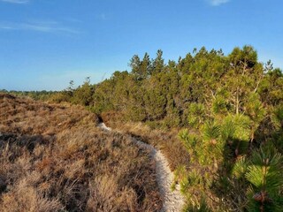 Vakantiehuis Toftum  12