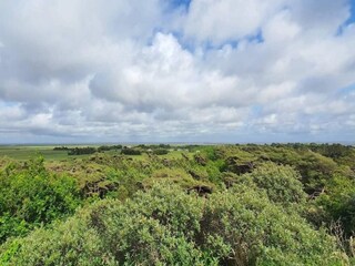Maison de vacances Toftum  16
