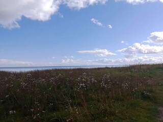 Maison de vacances Als  31