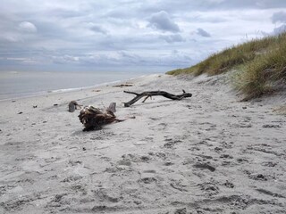 Vakantiehuis Hou  24