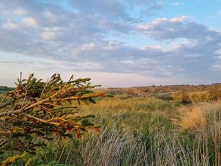 Casa de vacaciones Frøstrup  29