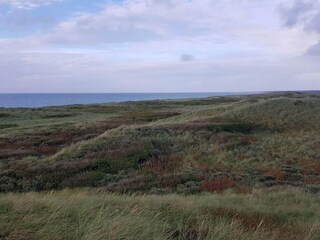 Casa de vacaciones Frøstrup  13