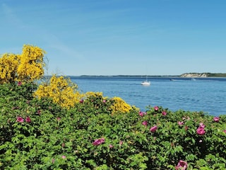 Ferienhaus Virksund  15