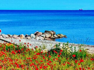 Vakantiehuis Otterup  35