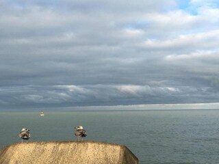 Appartamento Ostende Ambiente 35