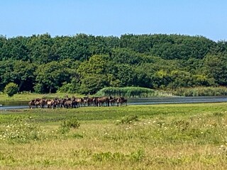 Apartamento Bagenkop  8