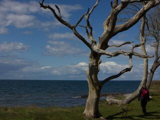 Apartment Bagenkop  45