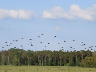 Appartement Bogense  16