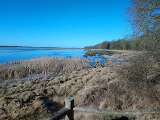 Apartment Bogense  8