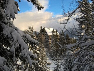 Appartement Crans-Montana Environnement 53