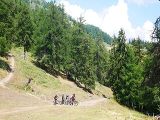 Appartement Crans-Montana Environnement 58