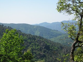 Casa per le vacanze Saint-Germain-de-Calberte Registrazione all'aperto 3