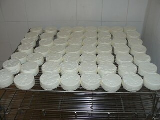 Maison de vacances Saint-Germain-de-Calberte Environnement 31