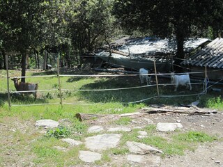 Casa per le vacanze Saint-Germain-de-Calberte Ambiente 32