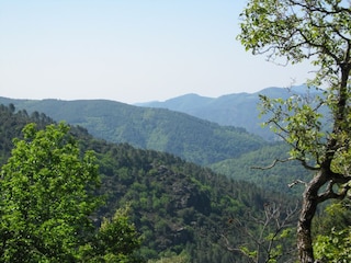 Ferienhaus Saint-Germain-de-Calberte Außenaufnahme 5
