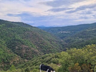 Vakantiehuis Saint-Germain-de-Calberte Omgeving 25