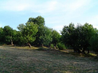 Casa per le vacanze Saint-Germain-de-Calberte Ambiente 29