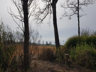 Casa per le vacanze Warmenhuizen Registrazione all'aperto 2