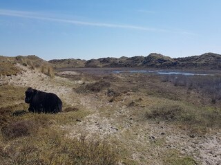 Holiday house Warmenhuizen Environment 32