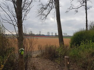 Ferienhaus Warmenhuizen Außenaufnahme 4