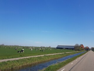 Vakantiehuis Warmenhuizen Omgeving 25