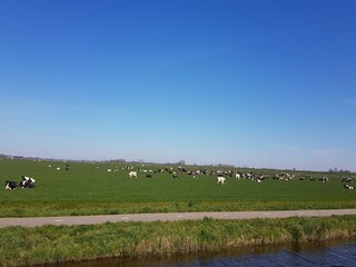 Vakantiehuis Warmenhuizen Omgeving 22