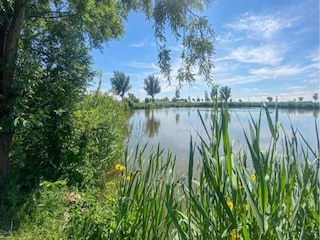 Casa per le vacanze Warmenhuizen Ambiente 25