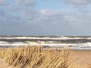 Ferienhaus Warmenhuizen Umgebung 33