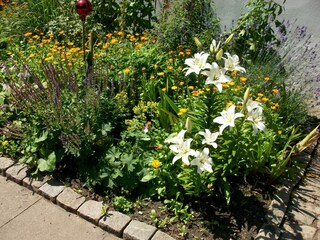 Ferienhaus Selenter See Außenaufnahme 5